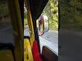 Suara Knalpot Serigala Guk Guk