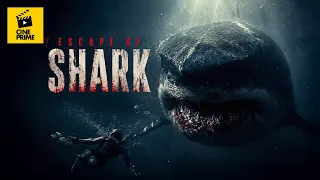 Escape of Shark⎪Piégés avec un requin géant⎪Action⎪Thriller⎪Film complet⎪ACE