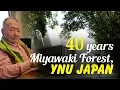 Download Lagu 40 years old Miyawaki forest in Yokohama National University by Prof (Dr.) Akira Miyawaki