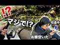 Download Lagu 【サバイバル生活#10】渓流で転ぶ、空腹でフラフラ…。食料求めてアレを改造したら凄いことになった【6日目】