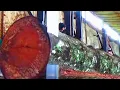 Download Lagu HET KAPEN VAN DEZE BOOM KAN DODELIJK ZIJN II Oud rood hout in de houtzagerij