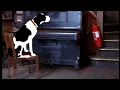 Jose Feliciano - California Dreamin' (Late Night Tales: Jamiroquai)