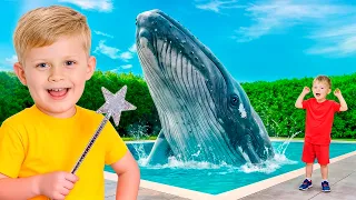 ¡Los animales marinos cobran vida en casa!