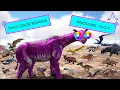 Ark - Dinosaur Color Regions