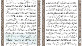 سورة الجاثية منصور السالمي 