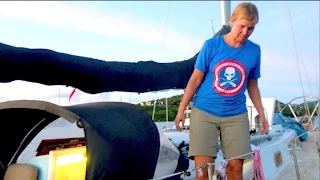 SSL 119 ~ Meet SOLO SAILOR Robin!  :)