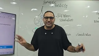 CNS Physiology Lecture 3 Kasr Alainy 2025 By Dr Elsherif 