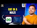 Rat in a Maze Problem Backtracking Explained Step by Step Java DSA
