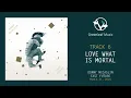 Donny McCaslin | Fast Future - "Love What is Mortal"