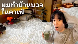 ผมสร้างบ้านบอลในร้านคาเฟ่ เท 80,000 ลูก ให้ทุกคนมาได้เลย