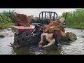Download Lagu Agricultural vehicle transporting wood girl digging giant tree stump