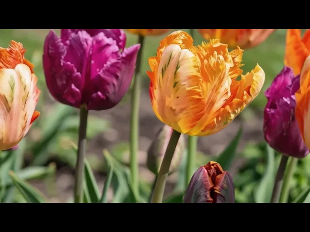 files/preview_images/hqdefault_1346dda6-9b13-4145-9477-1d885ccd1884.jpg