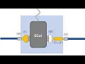 ECal User Characterization Part 1