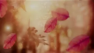 ALL ABOUT What To Ask For And How To Not Give Away The FARM Mediation Meeting 