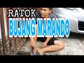 Download Lagu Alkawi...RATOK BUJANG MARANDO ( Official Music Video )