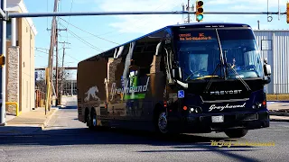 Bus Observations of Greyhound by in Baltimore Maryland February 2025