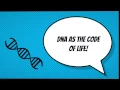 DNA as the Code of Life