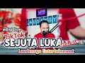 Download Lagu Sejuta Luka - Rita Sugiarto (versi slow) | edisi live TikTok by Laudensya Entertainment