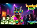 Download Lagu Brazilian Bass Festival Vibes | EDM Mix (15 Tracks) Vol.1 By book kee remix