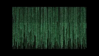 نيجيري سنهوري حفلة صالة القنطرة الكلاب الضالة 