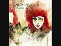 Camera Obscura - The Sweetest Thing