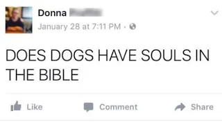 Old people mistaking Facebook for Google