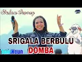 Download Lagu SERIGALA BERBULU DOMBA voc: Wulan Desmoy feat AKTOR MUDA MUSIK #dugemtanji