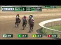 RACE 3 PROGRAM 7 31 2026