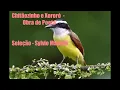 Download Lagu Chitãozinho e Xororó  - Obras de Poeta