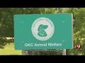 OKC Animal Welfare Under Full Capacity After Successful Adoption Event