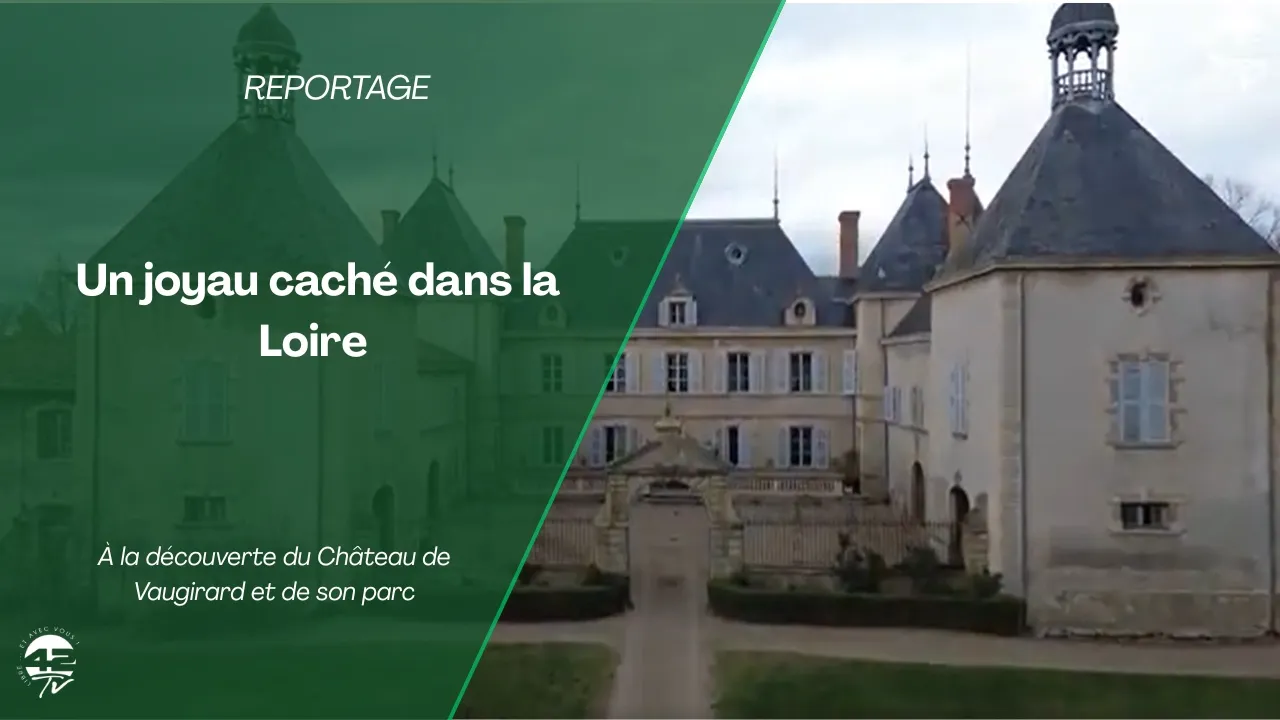 Le Château de Vaugirard : un joyau du XVIIᵉ siècle à découvrir