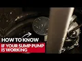 How To Know If Your Sump Pump Is Working - Ace Hardware