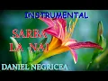Download Lagu █▬█ █ ▀█▀  2023 - Sarba la NAI - Daniel Negricea [Domn' Profesor Danciu]