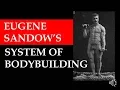 EUGENE SANDOW S LIGHT DUMBBELL BODYBUILDING SYSTEM EXPLAINED