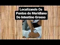 Download Lagu Localizando Os Pontos Do Meridiano do Intestino Grosso.