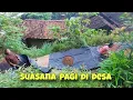 Download Lagu Suasana pagi hari di desa yg menenangkan / ibu - ibu di desa mulai menjemur hasil panennya
