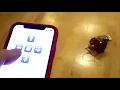 Raspberry Pi Python robot controlled over WiFi using MQTT with iOS app built in Swift CocoaMQTT