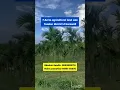 Download Lagu 7 Acres Agricultural Land for Sale || Gubbi Taluk, Tumkur District (Karnataka)