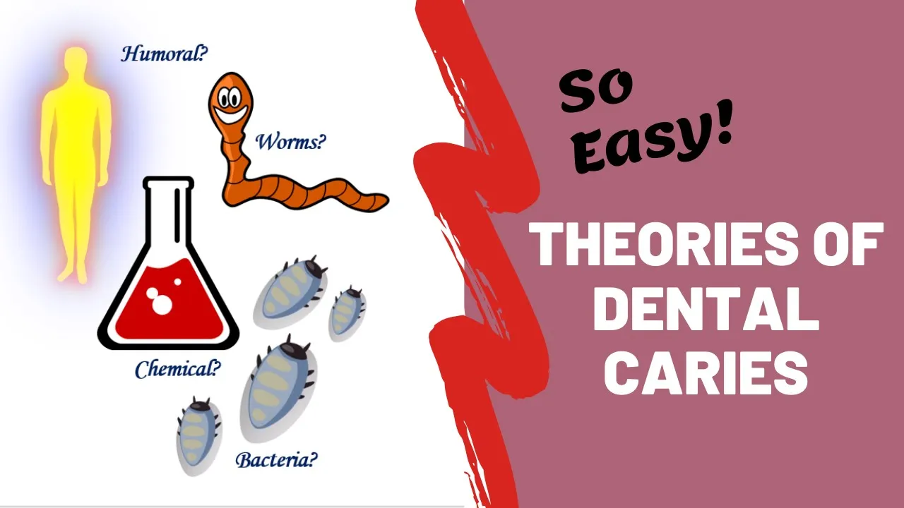 Theories of Dental Caries