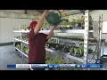 Topeka Correctional Facility uses plant sale to help inmates get fresh start