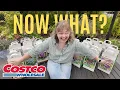 Costco Bulb Survival Guide Bought Bulbs Now What