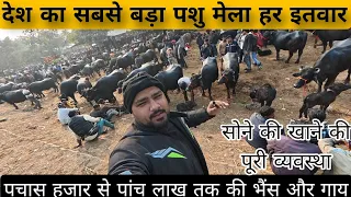 India ka sabse Bada Animal Mela  😲 | ₹50,000 Se ₹5 Lakh Tak Gay-Bhains