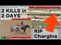 RIP CHARGINA 1st of 2 thistledownracino 8 20 24
