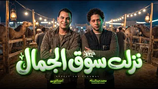 نزلت سوق الجمال   احمد التونسي و عبسلام   جديد روقان و مزاج عالى      دندنها