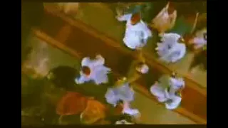 اغنية جودا اكبر الله الله الله 