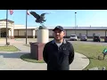 Pigskin Hale Center Owls