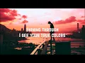 Cyndi Lauper - True Colors (Lyrics)