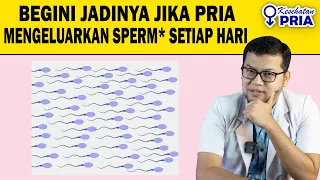 Download ONANI SETIAP HARI INI YANG TERJADI - DOKTER SADDAM ISMAIL MP3