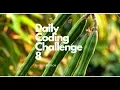 Daily Coding Challenge 8 Indian Drumsticks Python Programming