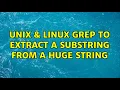 Unix Linux grep to extract a substring from a huge string